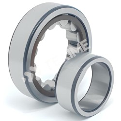 Roulement à rouleaux cylindriques NU206ETVP2/C3-FAG